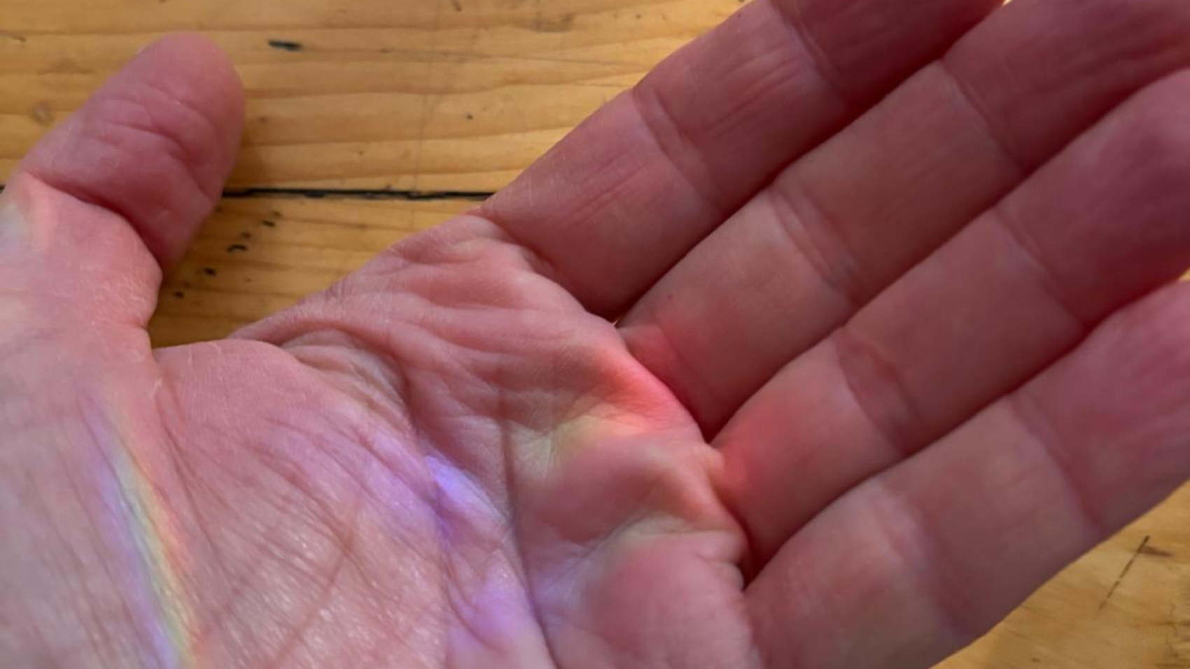 PHOTO-2025-03-10-15-25-48