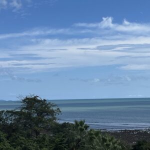 Coaching en Español ~ Una Hora con Jen