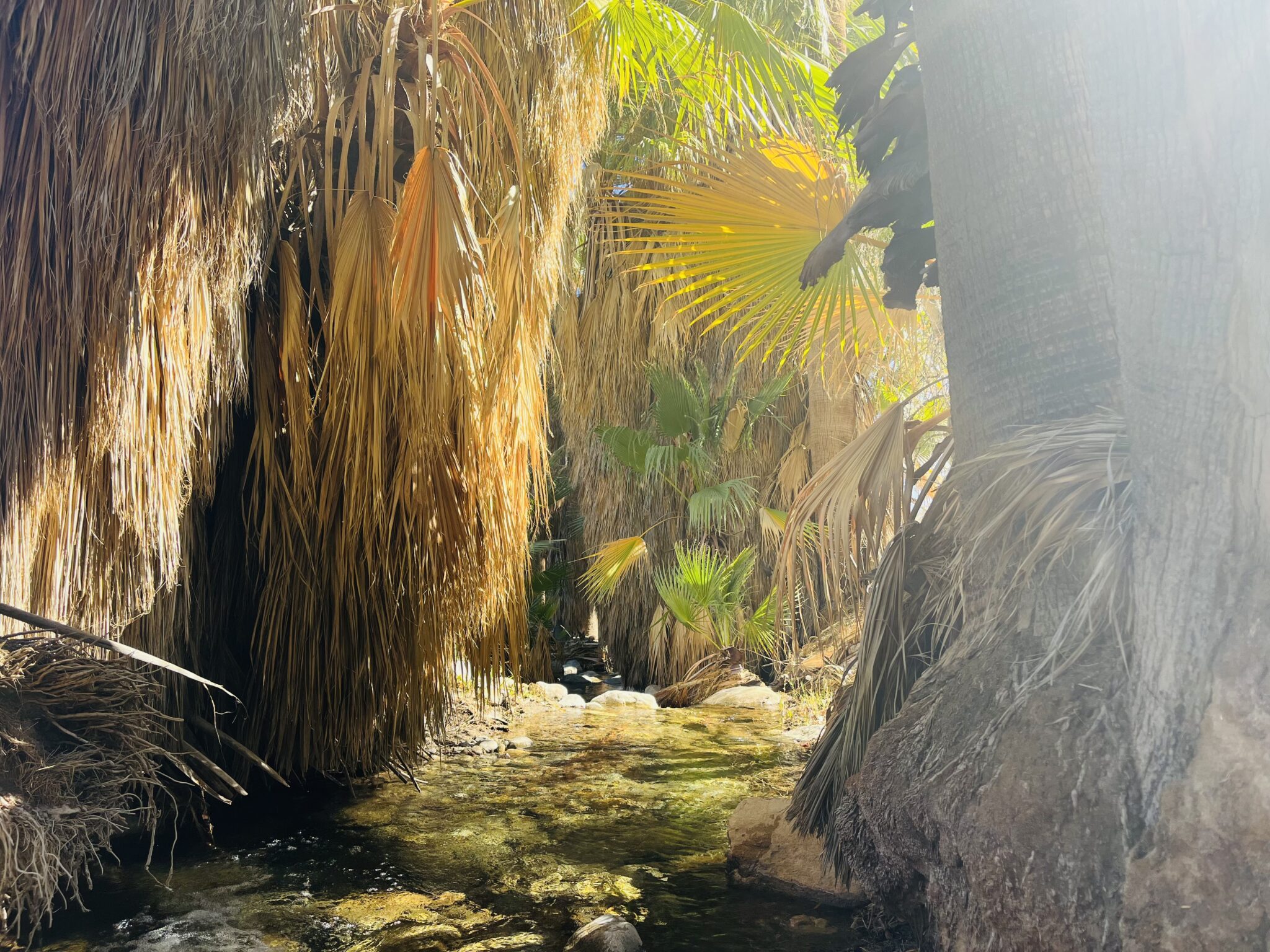 indian canyon river