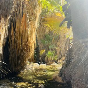 5 Hour Coaching Series with Jen