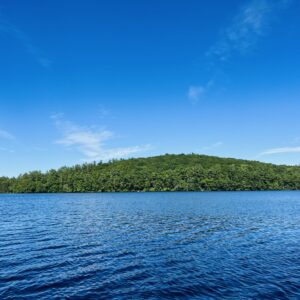 One Hour Coaching Session with Jen