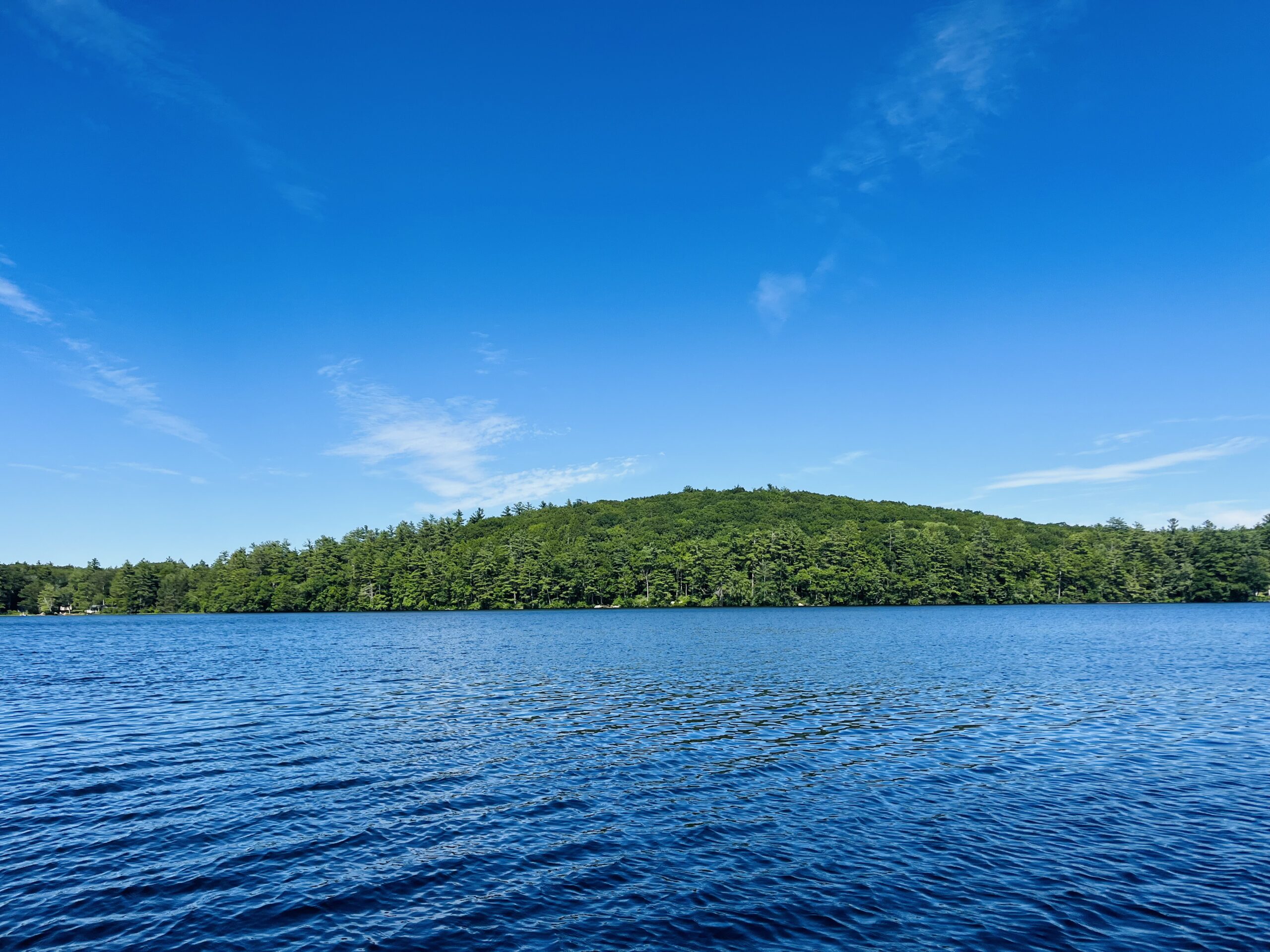 One Hour Coaching Session with Jen