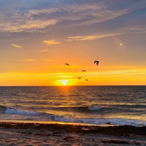 Inspired Profile Writing Package