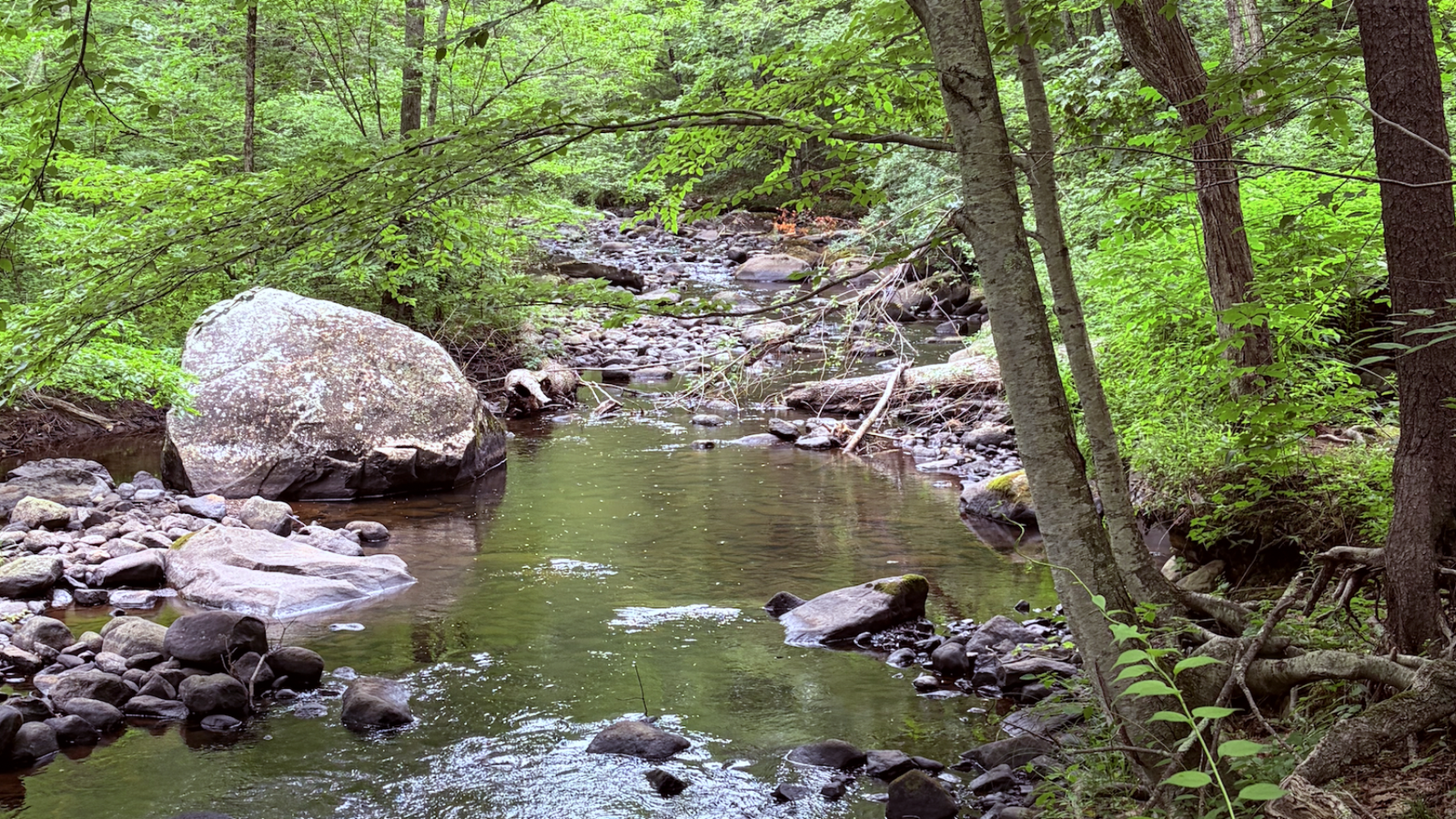 river quinapoxet