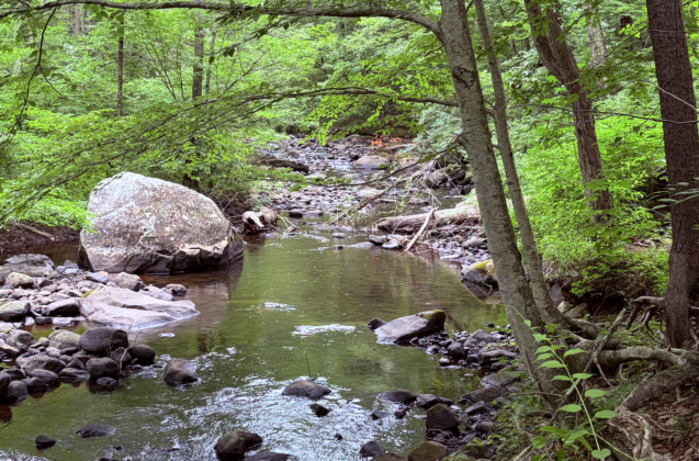 river quinapoxet