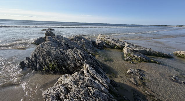 rocky shore