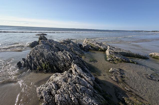 rocky shore